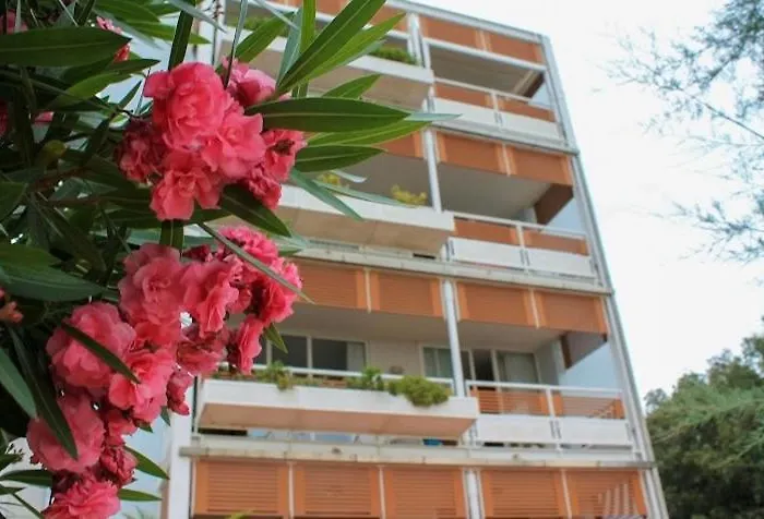 Saporedimare - Full Comfort Quiet Apartment With Seaview Rooftop Pool